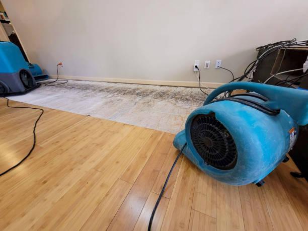 Professional Structural Drying technician working in Blue Ridge, GA